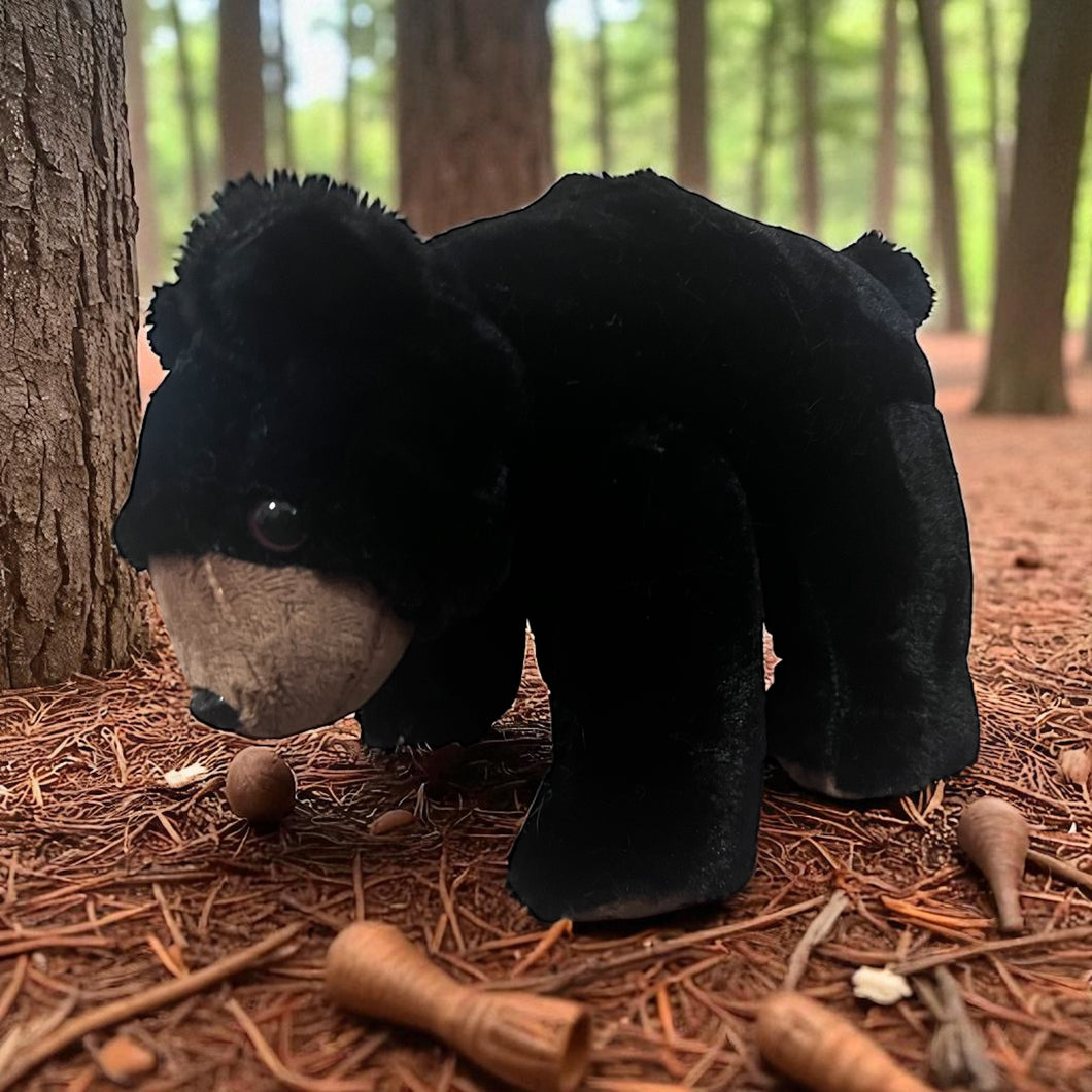 FRST Black Bear