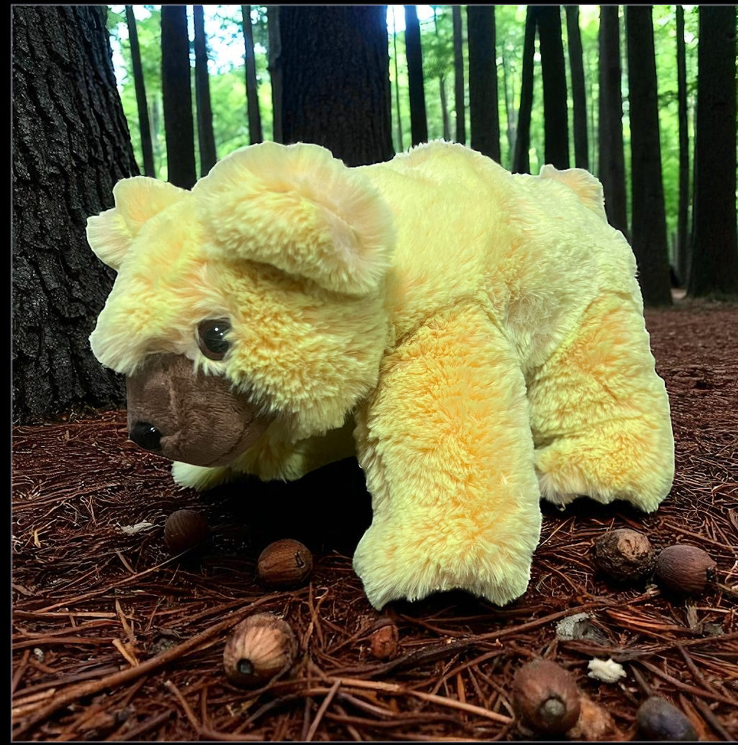 FRST Black Bear