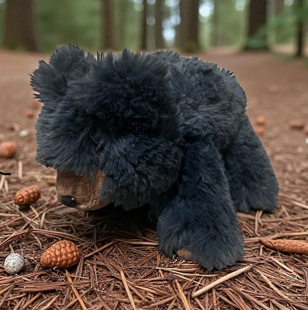 FRST Black Bear
