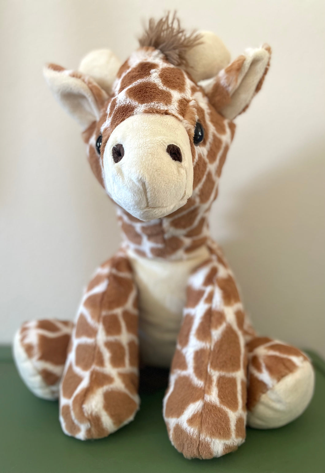 Live Shows Giraffe Stuffie